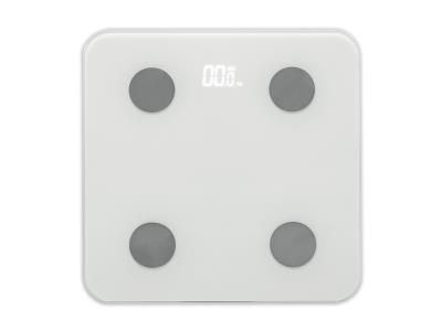 Import bluetooth bodyfat scale JY-430BT from chinese wholesale supplier and manufacturer