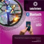 Import bluetooth christmas lights from chinese wholesale supplier and manufacturer