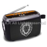 Import BLUETOOTH PLAYER VX-1934 from chinese wholesale supplier and manufacturer