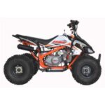 Import BOSUER ATV SA110 110cc from chinese wholesale supplier and manufacturer