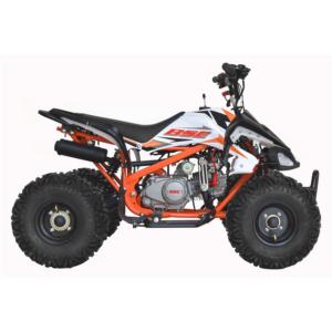 Import BOSUER ATV SA110 110cc from chinese wholesale supplier and manufacturer