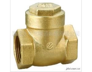 Import Brass check valve from chinese wholesale supplier and manufacturer