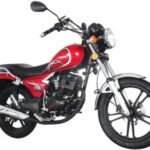 Import C-MAN3 (LF125-7A) LIFAN Cruiser Chopper from chinese wholesale supplier and manufacturer