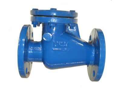 Import C.I. SWING CHECK VALVE from chinese wholesale supplier and manufacturer