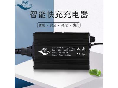 Import C300 lifepo4 battery charger 14.6v 4s 12v 15a from chinese wholesale supplier and manufacturer