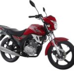 Import CAMEL 150 (LF150-2C(II)) LIFAN Street Bike from chinese wholesale supplier and manufacturer