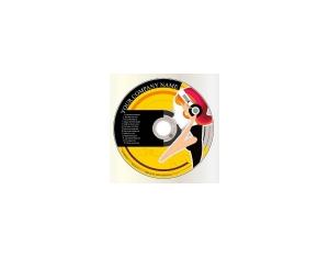 Import CD from chinese wholesale supplier and manufacturer