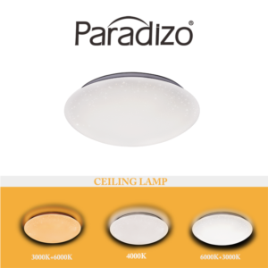 Import ceiling lamp from chinese wholesale supplier and manufacturer