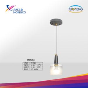 Import ceiling light from chinese wholesale supplier and manufacturer