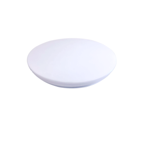 Import Ceiling light from chinese wholesale supplier and manufacturer