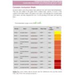 Import Ceramic Inclusion Stain from chinese wholesale supplier and manufacturer