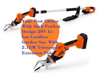 Import CG200M06 DC20V Li-Ion Battery Cordless Garden Reciprocating Saw With Extension Long Poles from chinese wholesale supplier and manufacturer