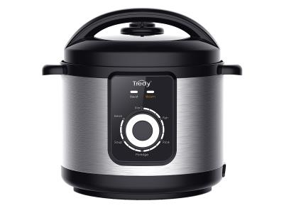 Import CG6 Electric Pressure Cooker (4-6L) from chinese wholesale supplier and manufacturer