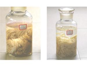 Import Chemical Equipment & Machinery from chinese wholesale supplier and manufacturer