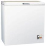 Import Chest freezerWD150 from chinese wholesale supplier and manufacturer