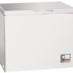 Import Chest freezerWD300 from chinese wholesale supplier and manufacturer