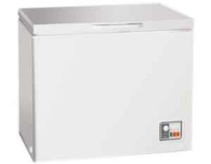 Import Chest freezerWD300 from chinese wholesale supplier and manufacturer