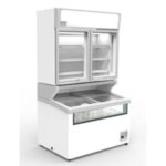 Import CHEST SHOWCASE/UPRIGHT FREEZER from chinese wholesale supplier and manufacturer