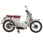 Import CINECO E-CLASSIC from chinese wholesale supplier and manufacturer