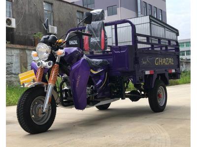 Import Classic 150cc Gasoline Cargo Tricycle from chinese wholesale supplier and manufacturer