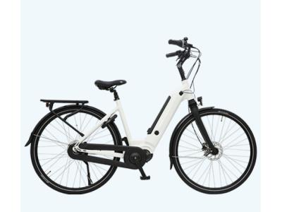 Import Classic ebike MB-EB182L from chinese wholesale supplier and manufacturer