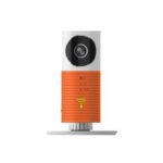 Import Clever Dog wifi Smart Camera from chinese wholesale supplier and manufacturer