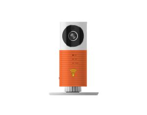 Import Clever Dog wifi Smart Camera from chinese wholesale supplier and manufacturer