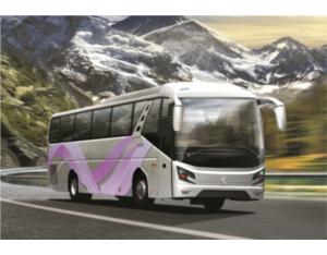 Import coach&passenger car from chinese wholesale supplier and manufacturer
