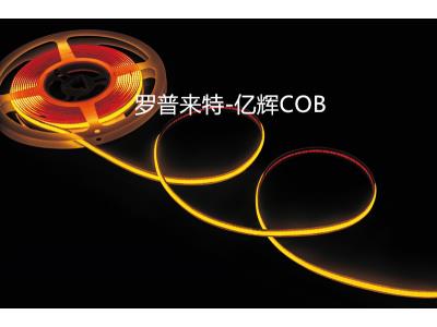 Import COB LIGHT from chinese wholesale supplier and manufacturer