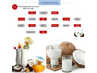 Import Coconut processing line from chinese wholesale supplier and manufacturer