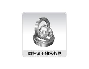 Import Combined bearings from chinese wholesale supplier and manufacturer
