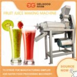 Import Commercial Mango Juice Lemon Juice Making Machine|Automatic Fruit Juice Extractor Machine from chinese wholesale supplier and manufacturer