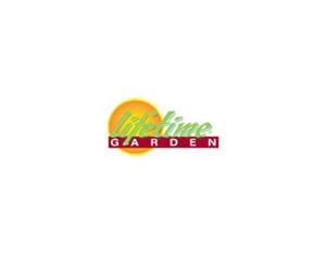 Import Commerical Service from chinese wholesale supplier and manufacturer
