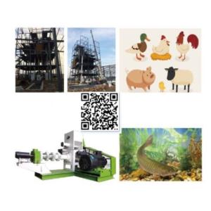 Import COMPLETE FEED PRODUCTION LINE from chinese wholesale supplier and manufacturer