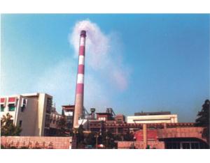 Import Complete picture of Anhui Anqing Petrochemical Thermal Power Project from chinese wholesale supplier and manufacturer