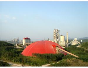 Import Conch ningguo 5000t / d from chinese wholesale supplier and manufacturer