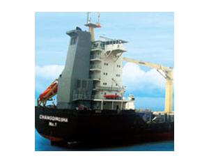 Import container ship from chinese wholesale supplier and manufacturer