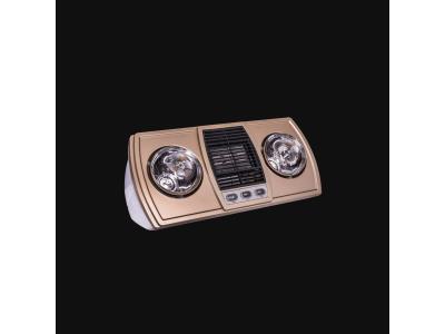 Import [copy]Bathroom heater wall mounted 2 lamps from chinese wholesale supplier and manufacturer