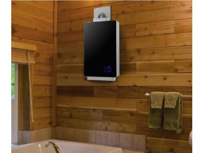 Import [copy][copy]10L digital constant temperature gas water heater from chinese wholesale supplier and manufacturer