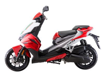 Import [copy]TS IMOLA50/125/150CC EEC SPORTY POWER SCOOTER from chinese wholesale supplier and manufacturer