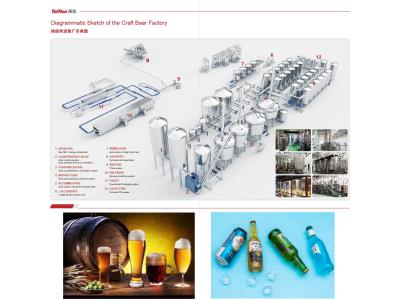 Import Craft beer processing line from chinese wholesale supplier and manufacturer