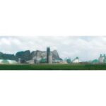 Import Crushing & Culling Machine from chinese wholesale supplier and manufacturer