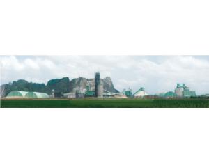 Import Crushing & Culling Machine from chinese wholesale supplier and manufacturer