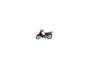 Import cub from chinese wholesale supplier and manufacturer