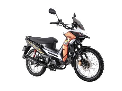 Import CUB-ADV (LF125-26R) LIFAN ADV Cub Motorcycle from chinese wholesale supplier and manufacturer