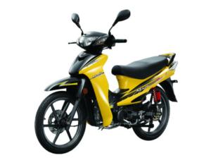 Import CUB Magic from chinese wholesale supplier and manufacturer