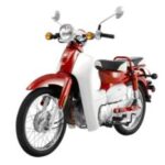 Import CUB Symba from chinese wholesale supplier and manufacturer