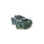 Import DB SERIES WITH PERIPHERAL IMPELLER PUMP from chinese wholesale supplier and manufacturer
