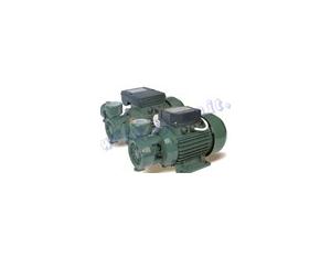 Import DB SERIES WITH PERIPHERAL IMPELLER PUMP from chinese wholesale supplier and manufacturer