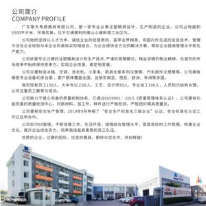 Import Design and processing of injection mold from chinese wholesale supplier and manufacturer